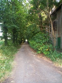 Via-Molinello2